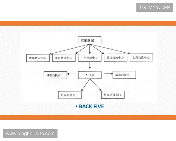 多宝真人网页入口官网详细攻略,介绍登录流程及常见问题的解决技巧