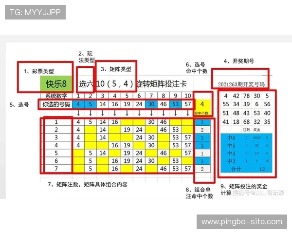 最新百家乐路单软件详解提升你的投注策略技巧